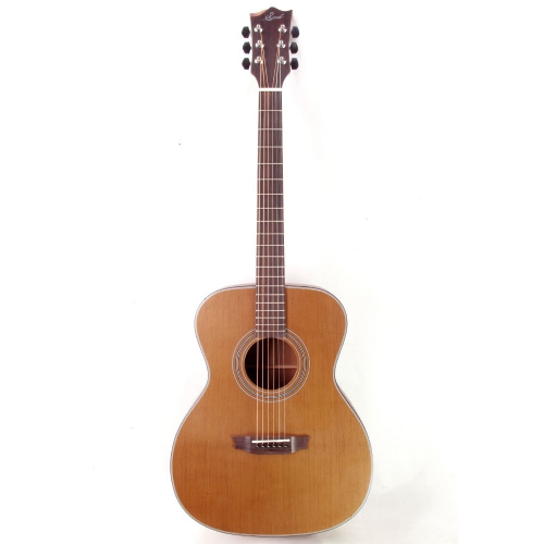 Seed 碳化木全單板木吉他 S1000-TS